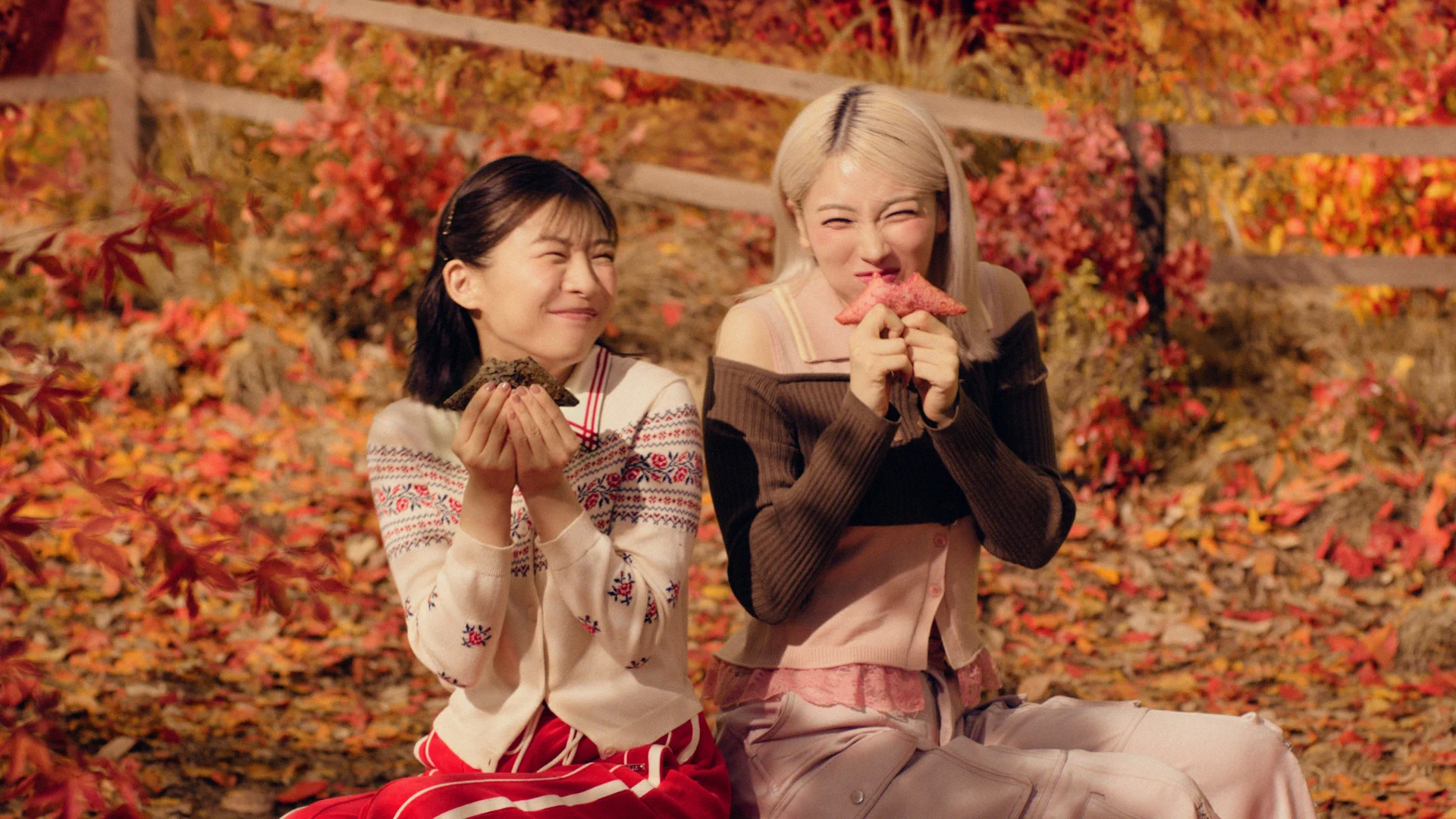 マクドナルド『三角チョコパイ』伊藤沙莉×モモカ（HANA）コラボ発表に5chが反応